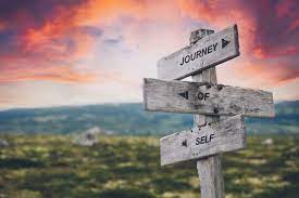 Discover You!